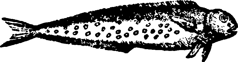 114/114960020002450_1.png