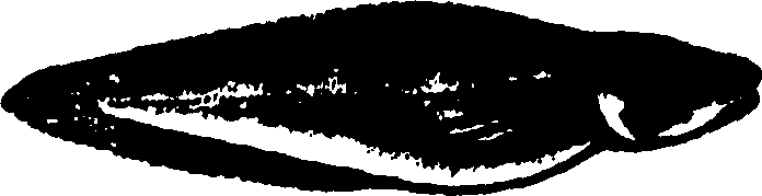 114/114960020002470_0.png