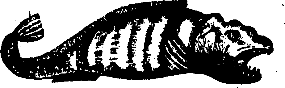 114/114960020002480_0.png