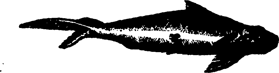 114/114960020002490_0.png