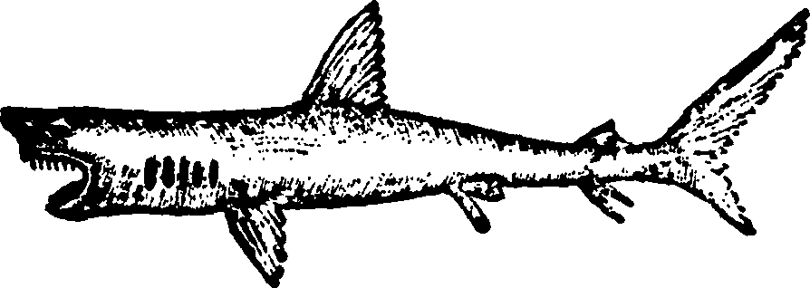 114/114960020002500_0.png