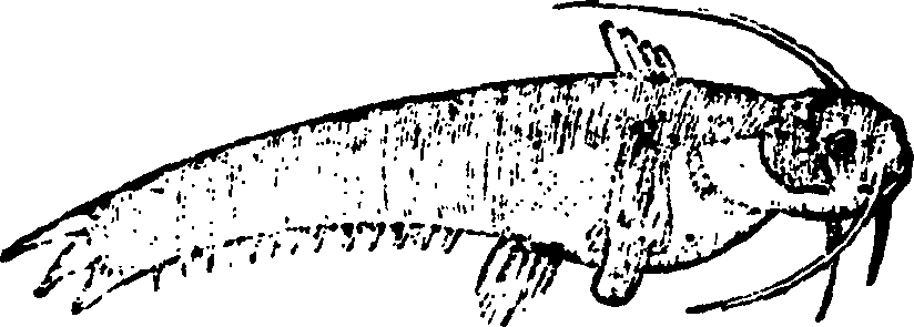 114/114960020002510_0.png