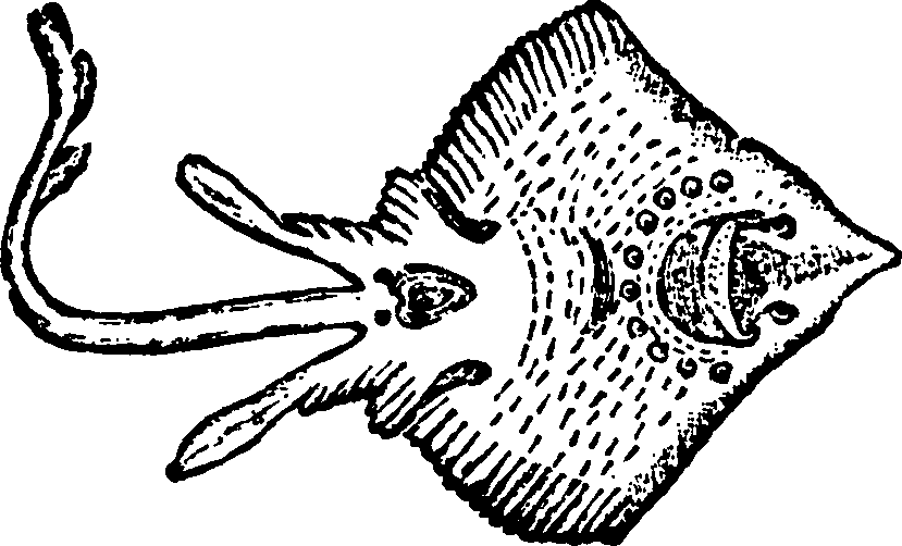 114/114960020002520_0.png