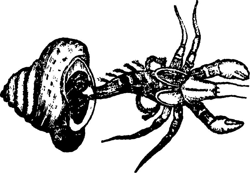 114/114960020002530_0.png