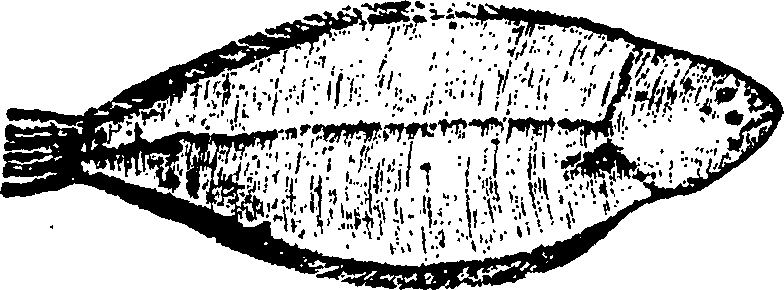 114/114960020002530_1.png