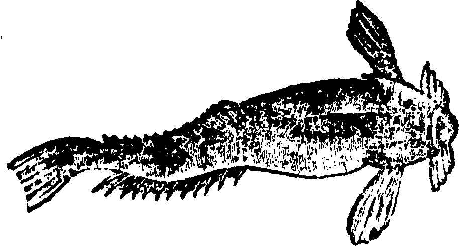 114/114960020002550_0.png