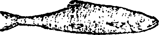 114/114960020002550_1.png