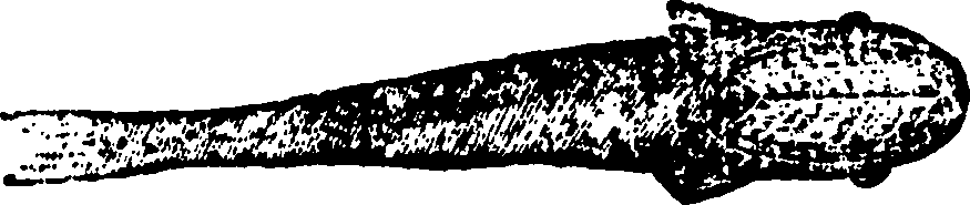 114/114960020002560_0.png
