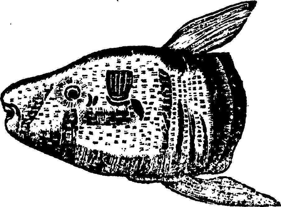114/114960020002570_0.png
