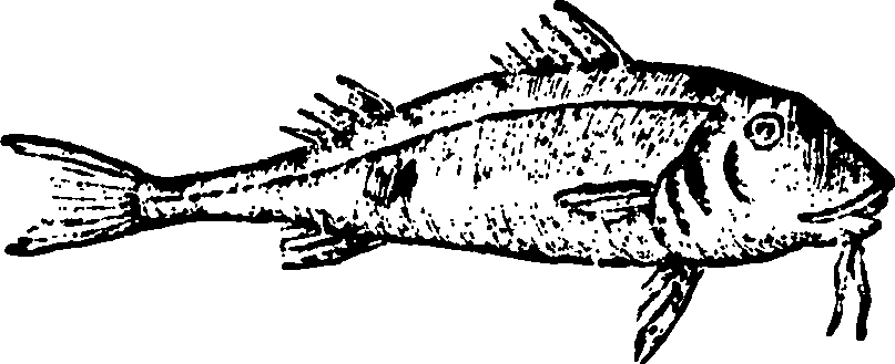 114/114960020002580_0.png