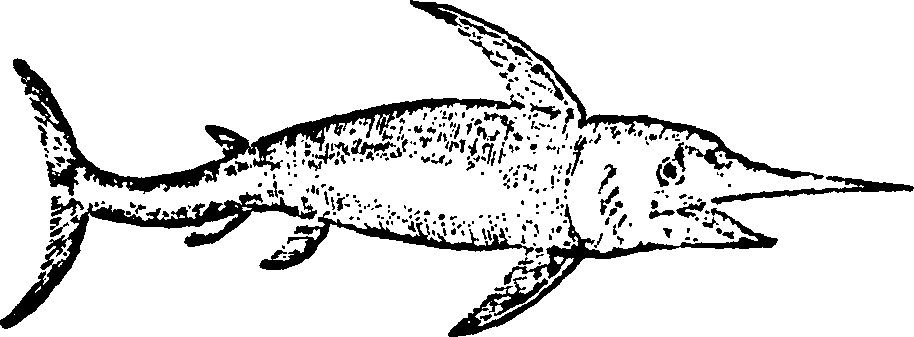 114/114960020002590_0.png