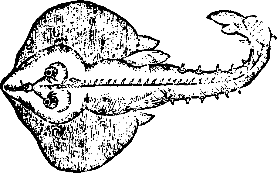 114/114960020002600_0.png