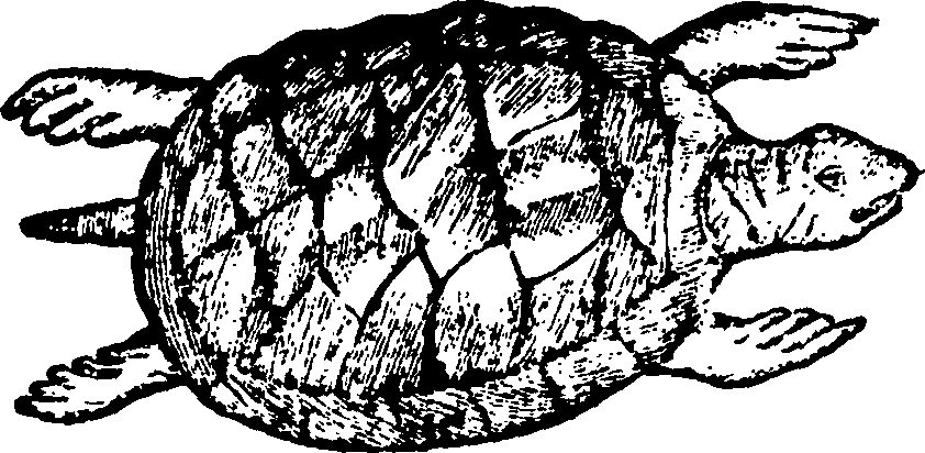 114/114960020002610_0.png