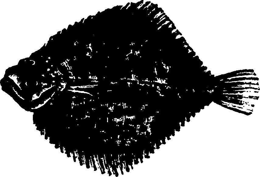 114/114960020002650_0.png