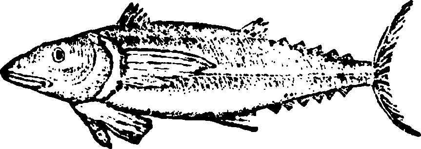 114/114960020002660_0.png