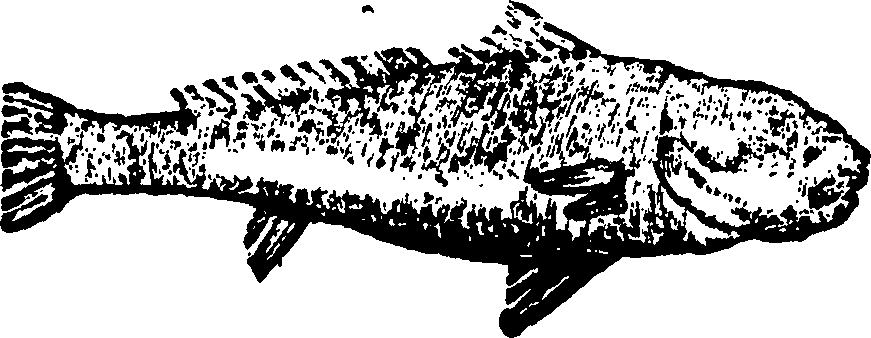 114/114960020002670_0.png