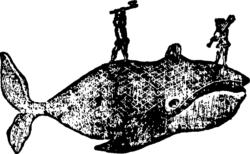 114/114960020002680_0.png