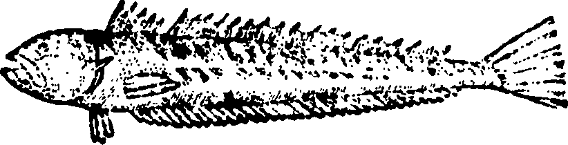 114/114960020002680_1.png