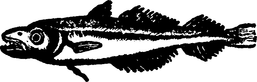 114/114960020002770_0.png