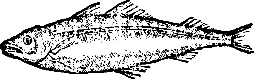 114/114960020002780_0.png
