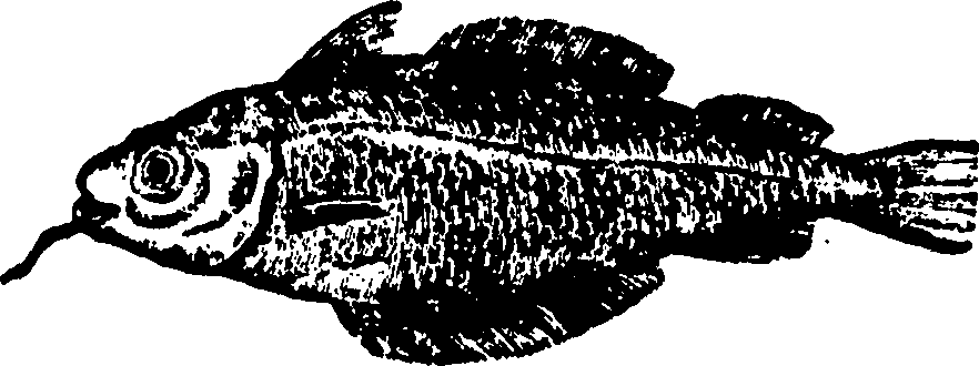 114/114960020002790_0.png