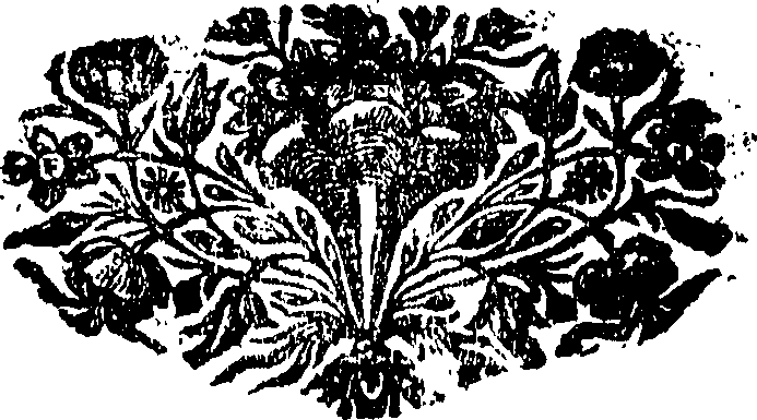 115/115080160000100_0.png