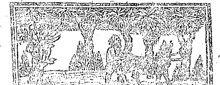 115/115080210000060_0.png