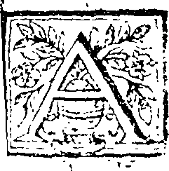 115/115100040000200_0.png
