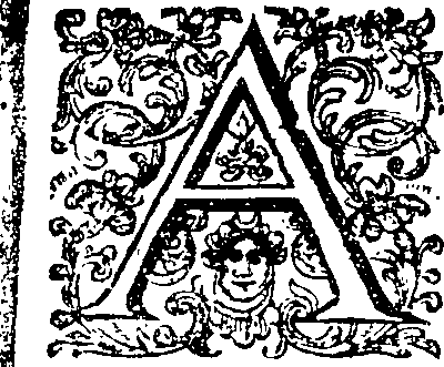 115/115100040000240_0.png
