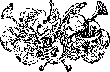 115/115100060000550_0.png