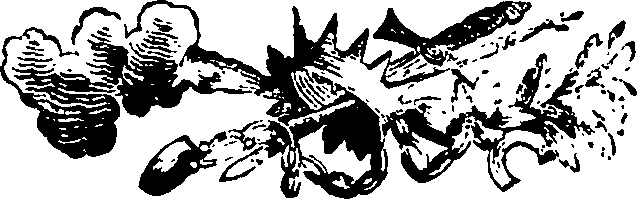115/115110050000080_0.png