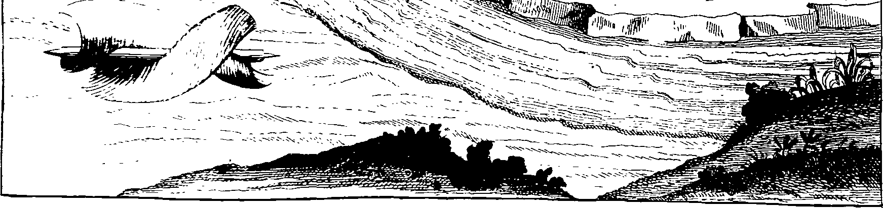 115/115120010101320_0.png