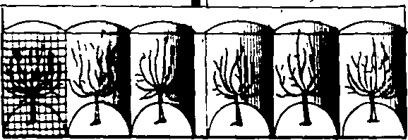 115/115120010101350_1.png