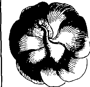 115/115120010102310_0.png