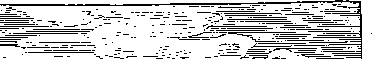115/115120010102620_0.png