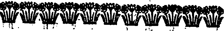 115/115120010300900_0.png