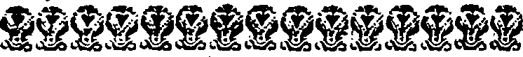 115/115120010302790_0.png