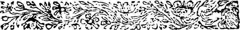 115/115120040000220_0.png