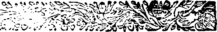 115/115120040001900_0.png