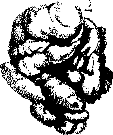 115/115140110000430_0.png