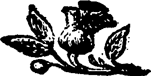 115/115140120000080_0.png