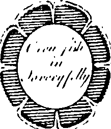 115/115150080003940_7.png