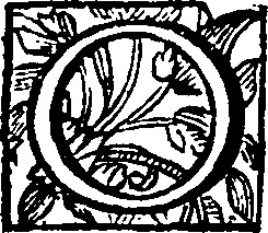 115/115160020003540_0.png