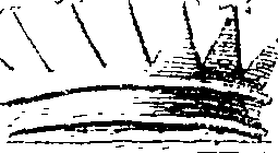 115/115170050101250_1.png