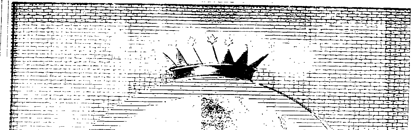 115/115170050101820_1.png