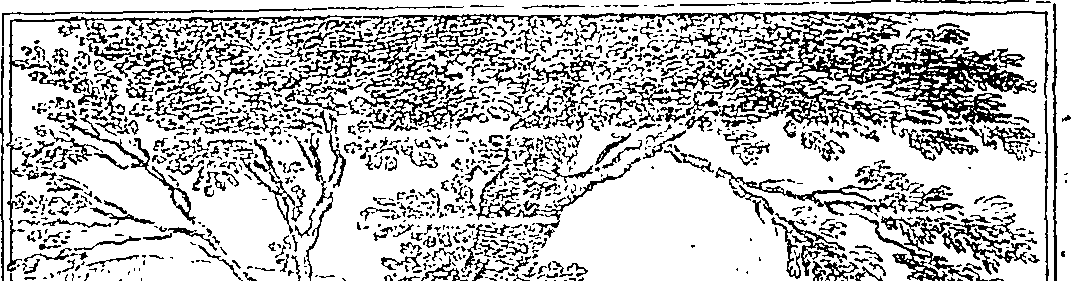 115/115220060000350_0.png