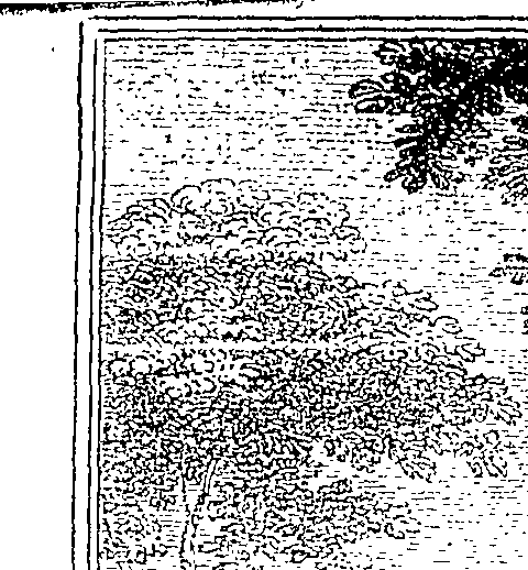 115/115220060000850_1.png
