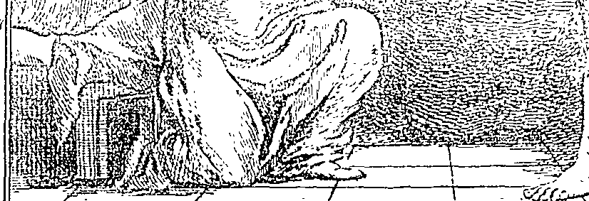 115/115220060001650_0.png