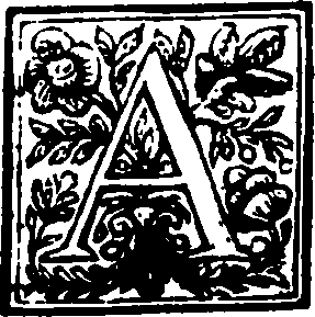 115/115290090000020_0.png