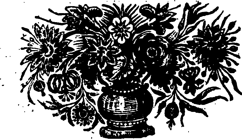 115/115290110000790_0.png